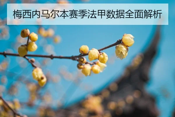 mei-xi-nei-ma-er-ben-sai-ji-fa-jia-shu-ju-quan-mian-jie-xi-2-206.jpg