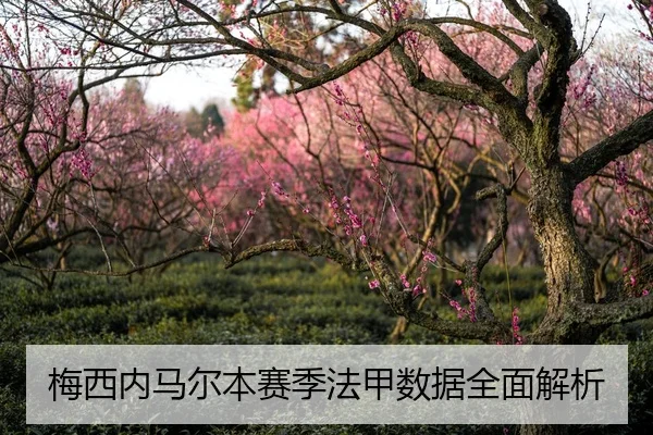 梅西内马尔本赛季法甲数据全面解析
